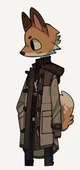 Bat fox furry