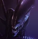 Xenomorph