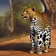 leopard