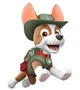 Tracker from paw pat