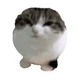 - INFO BOT