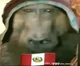 Mono peruano