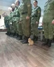 Military Kitty