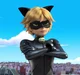 Chat Noir