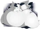Fat Mega Absol 