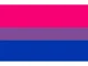 Bisexual 