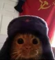Communist Cat