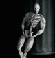 Buff skeleton 