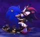 Sonic x Shadow