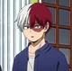 Shoto Todoroki 