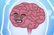 Brain