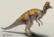 Corythosaurus 
