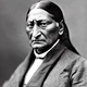 Sitting bull