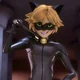 Chat Noir