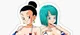 Bulma and Chichi 