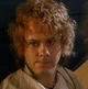 Meriadoc Brandybuck 