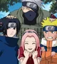 Team 7