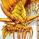 Gold Dragon