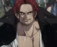 shanks