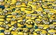 Minions