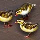 A group of smallduck