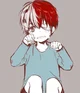 Shouto Todoroki