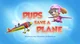 Pups Save a Plane to