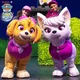 Paw patrol skye live