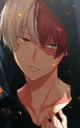 Shoto Todoroki 