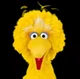 Big Bird