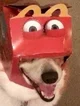 McDonalds Doggo