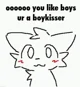 the boykisser furry 