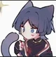 Scaramouche cat