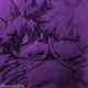 BakuDeku