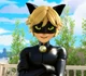 Cat noir