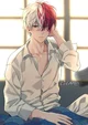 Shoto Todoroki 