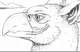 Gryphon