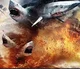 Sharknado 