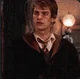 Remus Lupin 