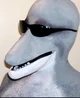 Dolphin man