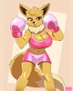 Eevee Boxer