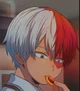 Shoto Todoroki
