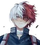 Shoto Todoroki 