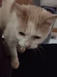 Stinky 