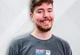 Mr beast