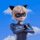 Chat Noir