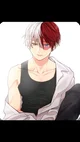 Todoroki 