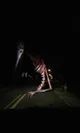 God Of Roadkill