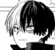 Shoto Todoroki