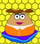 Cita Pou